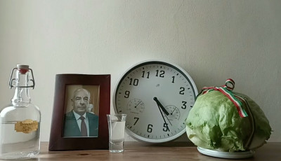 Politikai túlélőshow indult - Sulyok Tamás és egy saláta versenyez egymással