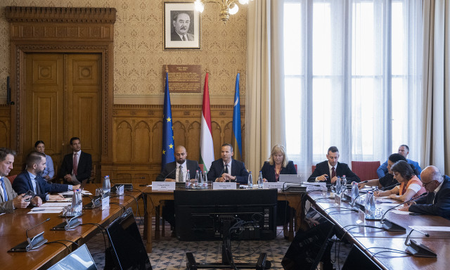 Orb&aacute;nt, Gyurcs&aacute;nyt &eacute;s Rog&aacute;nt beid&eacute;zn&eacute;k a v&eacute;grehajt&oacute;i maffia &uuml;gyeit vizsg&aacute;l&oacute; bizotts&aacute;g el&eacute;