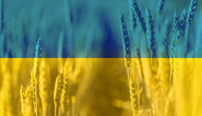 Vissza&aacute;ll&iacute;tj&aacute;k az ukr&aacute;n agr&aacute;rterm&eacute;kek behozatali tilalm&aacute;t