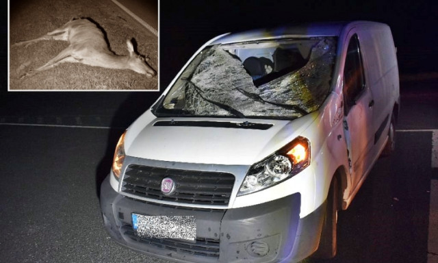 Cs&uacute;nya vadbaleset, a sofőr is megs&eacute;r&uuml;lt az &uuml;tk&ouml;z&eacute;stől
