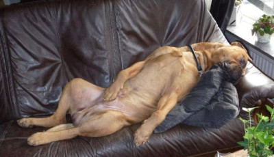 A hossz&uacute; h&eacute;tv&eacute;ge &aacute;ra: j&ouml;vő h&eacute;t szombaton is tan&iacute;t&aacute;s lesz