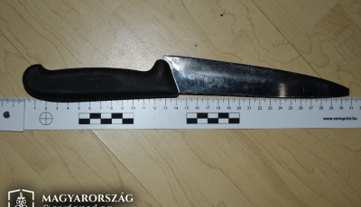 K&eacute;ssel fenyegette a mentős&ouml;ket a bek&aacute;bszerezett fertőszentmikl&oacute;si f&eacute;rfi