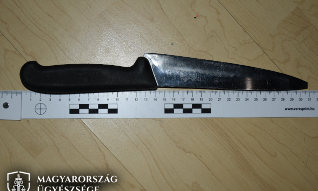 K&eacute;ssel fenyegette a mentős&ouml;ket a bek&aacute;bszerezett fertőszentmikl&oacute;si f&eacute;rfi