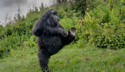 Kihirdett&eacute;k 2025 legviccesebb term&eacute;szetfot&oacute;it