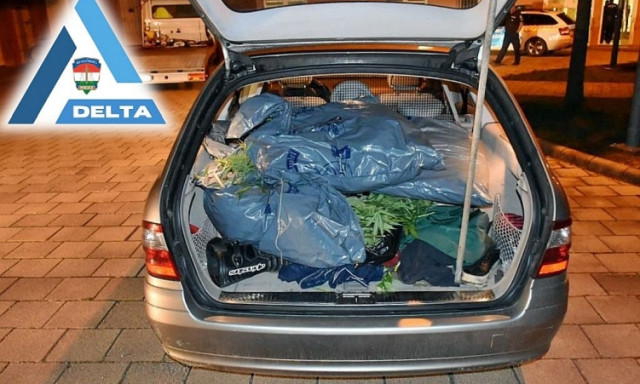 Az&eacute;rt bukott le 14 kil&oacute; cannabissal, mert nem tudott fizetni a benzink&uacute;ton