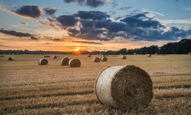 Felsz&oacute;lalt az agr&aacute;rkamara - A szalmab&aacute;la nem fot&oacute;z&aacute;si kell&eacute;k!