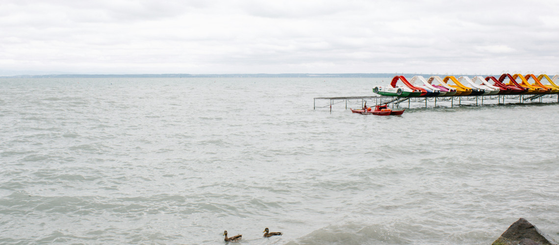 Nem csak a n&ouml;v&eacute;nyeket vesz&eacute;lyezteti a Balatonban kimutatott gyomirt&oacute;