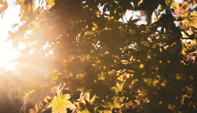 Vas&aacute;rnapt&oacute;l tavasz van, nincs apell&aacute;ta, mindegy, milyen az idő