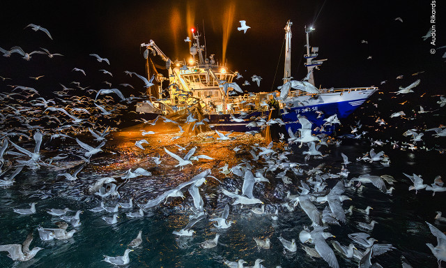 Ezek lettek 2025 legjobb term&eacute;szetfot&oacute;i