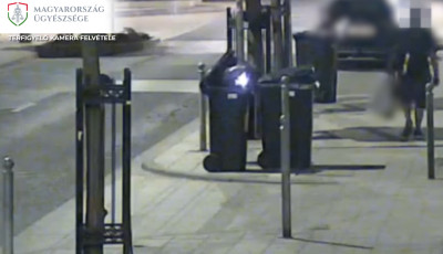 &Eacute;jjel gy&uacute;jtotta fel az utcai kuk&aacute;kat Győrben - VIDE&Oacute;