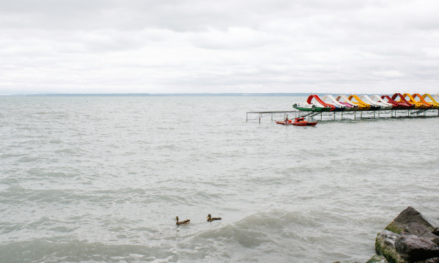 Nem csak a n&ouml;v&eacute;nyeket vesz&eacute;lyezteti a Balatonban kimutatott gyomirt&oacute;