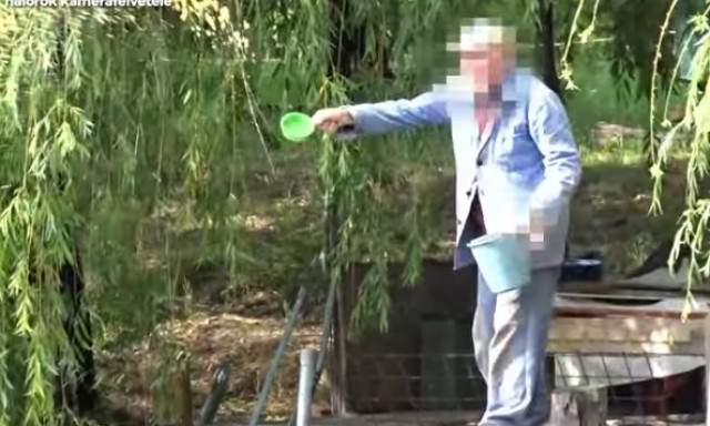 Vide&oacute;ra vettek egy orvhal&aacute;szt a Dun&aacute;n