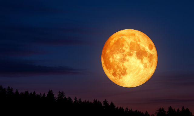 Szerd&aacute;n &eacute;rkezik a &bdquo;H&oacute;d Hold&rdquo; &ndash; az &eacute;v egyik legf&eacute;nyesebb teliholdja