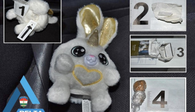 K&ouml;z&uacute;ti ellenőrz&eacute;sből lett letart&oacute;ztat&aacute;s Győrben - Unikornis pl&uuml;ssny&uacute;lba rejtett&eacute;k a drogot