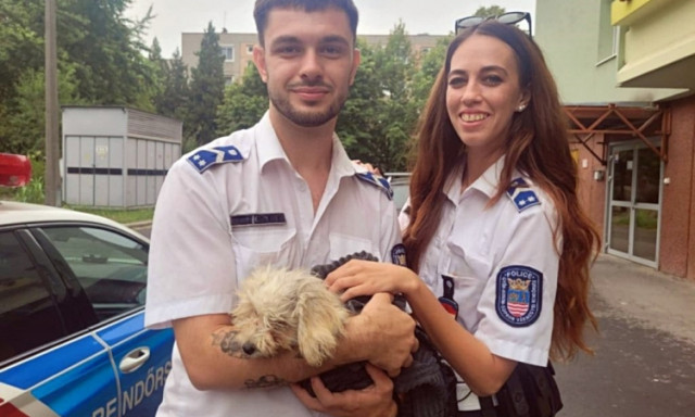 Kiskutya &eacute;let&eacute;t mentett&eacute;k meg a győri rendőr&ouml;k