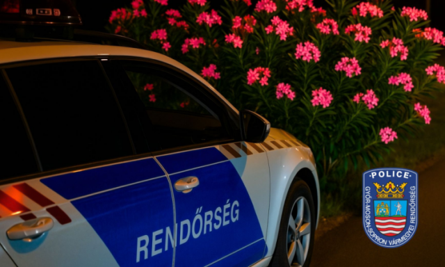 Rendőr&ouml;k elől menek&uuml;lt Sopronban az ittas sofőr, csak egy bokor tudta meg&aacute;ll&iacute;tani