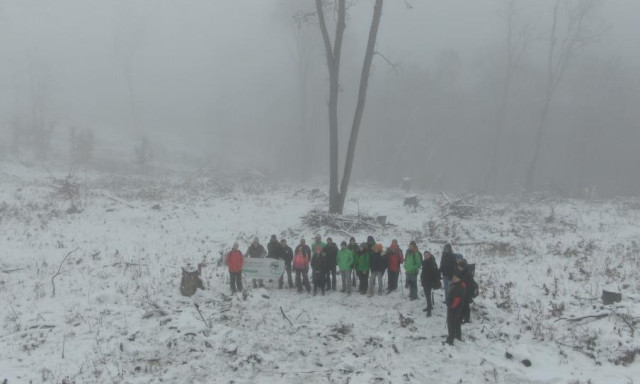 Őshonos erdők tűnnek el Magyarorsz&aacute;gon, mik&ouml;zben a kiv&aacute;gott fa nagy r&eacute;sze k&aacute;rba v&eacute;sz