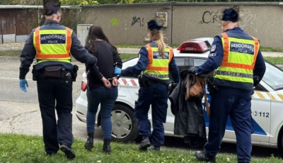 Idős n&eacute;nit rabolt ki az 54 &eacute;ves nő egy győri t&aacute;rsash&aacute;zban